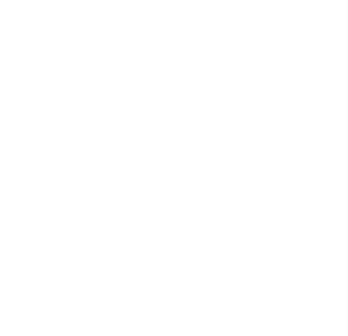 houston texans